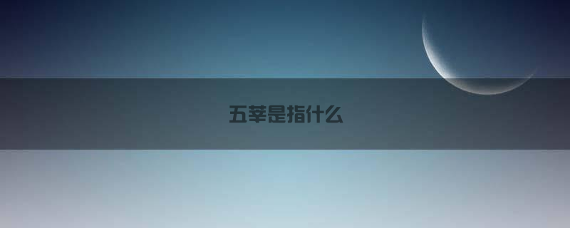 五莘是指什么