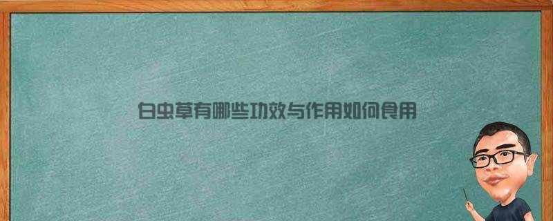 白虫草有哪些功效与作用？如何食用？